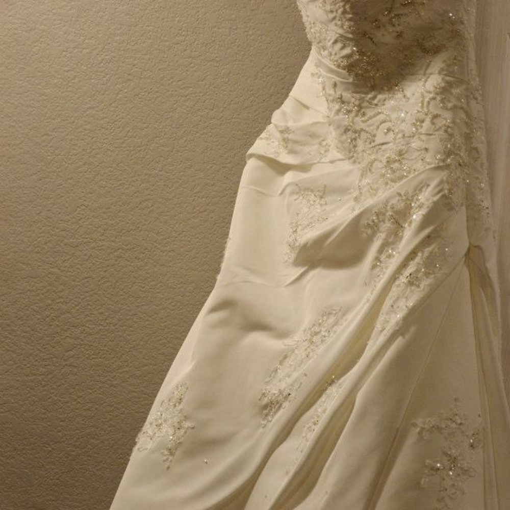 David's Bridal wedding dress
